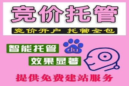 行业趋势下的SEM竞价代运营策略及成功实例